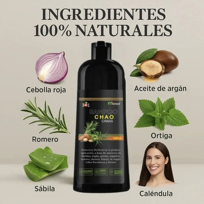 Combo Chao canas - friz